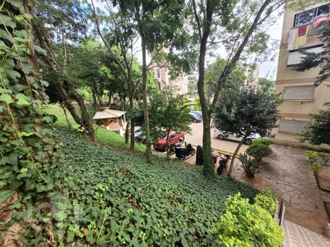 Image 3 - 250269